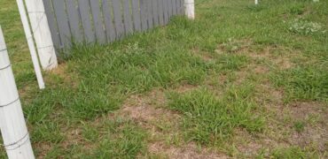 terreno  2500 m2  cercado