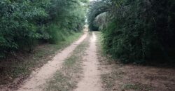 terreno  2500 m2  cercado