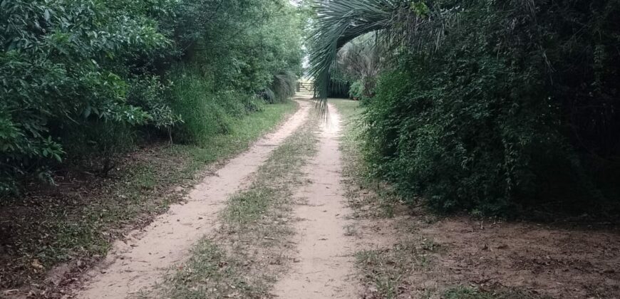 terreno  2500 m2  cercado