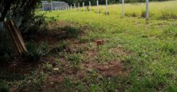 terreno  2500 m2  cercado