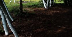 terreno  2500 m2  cercado