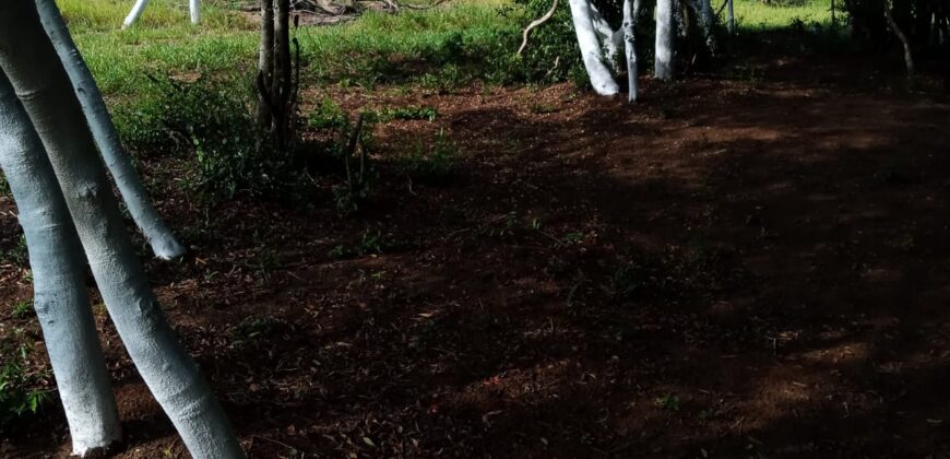 terreno  2500 m2  cercado
