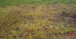 terreno  2500 m2  cercado