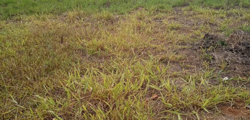 terreno  2500 m2  cercado