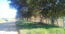 terreno na boa vista viamão