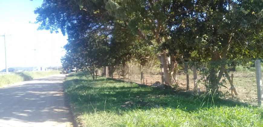 terreno na boa vista viamão