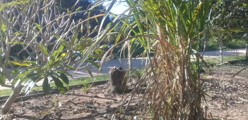 terreno na boa vista viamão