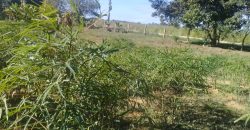 terreno na boa vista viamão