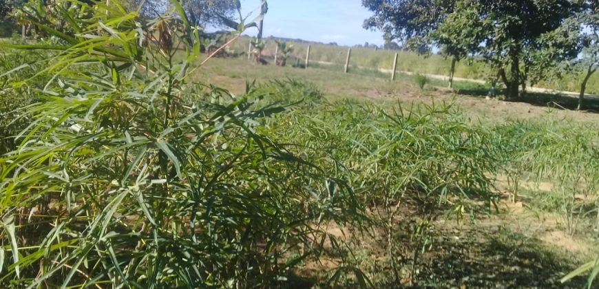 terreno na boa vista viamão