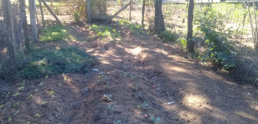 terreno na boa vista viamão