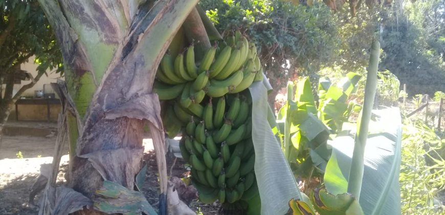 terreno na boa vista viamão