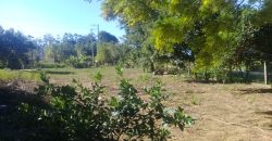 terreno na boa vista viamão