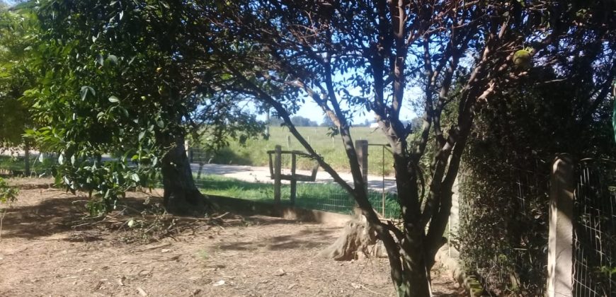terreno na boa vista viamão