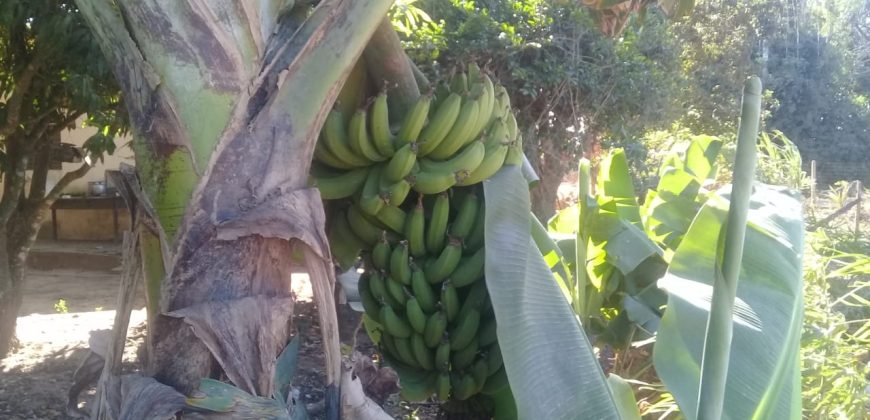 terreno na boa vista viamão