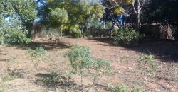 terreno na boa vista viamão