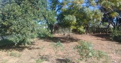 terreno na boa vista viamão