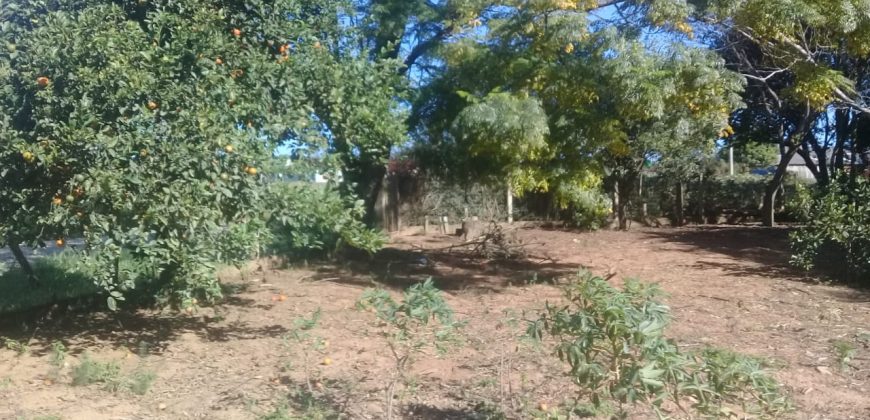 terreno na boa vista viamão