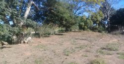terreno na boa vista viamão