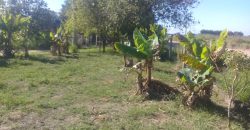 terreno na boa vista viamão