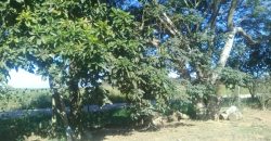 terreno na boa vista viamão