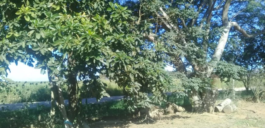 terreno na boa vista viamão