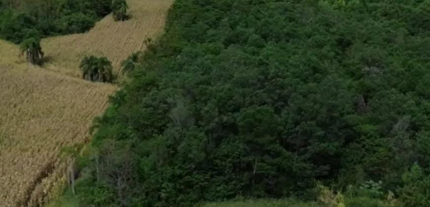 2 hectares em nova petrópolis para hotel ou pousada