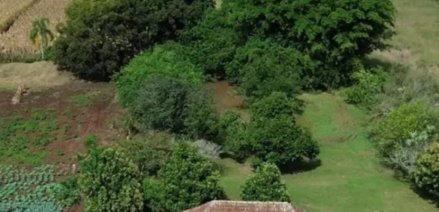 2 hectares em nova petrópolis para hotel ou pousada