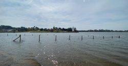 terreno na prainha  Águas Claras Viamão