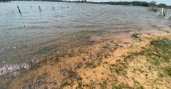 terreno na prainha  Águas Claras Viamão