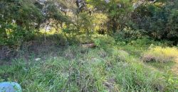 Chácara de 3 Hectares Casa e comércio, Pimenta/Viamão