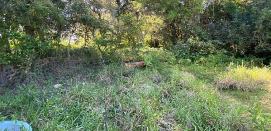 Chácara de 3 Hectares Casa e comércio, Pimenta/Viamão