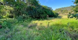 Chácara de 3 Hectares Casa e comércio, Pimenta/Viamão