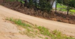 Chácara de 3 Hectares Casa e comércio, Pimenta/Viamão