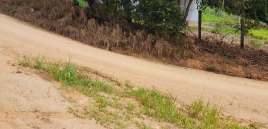 Chácara de 3 Hectares Casa e comércio, Pimenta/Viamão