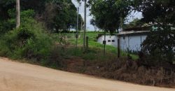 Chácara de 3 Hectares Casa e comércio, Pimenta/Viamão