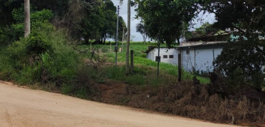 Chácara de 3 Hectares Casa e comércio, Pimenta/Viamão