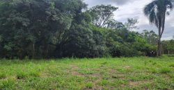 Chácara de 3 Hectares Casa e comércio, Pimenta/Viamão