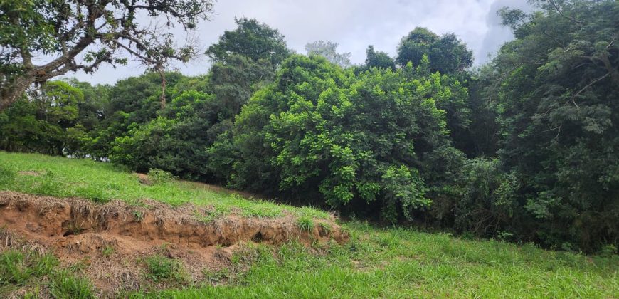 Chácara de 3 Hectares Casa e comércio, Pimenta/Viamão