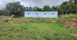 Chácara de 3 Hectares Casa e comércio, Pimenta/Viamão