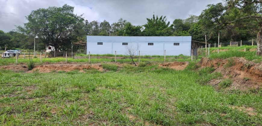 Chácara de 3 Hectares Casa e comércio, Pimenta/Viamão