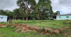 Chácara de 3 Hectares Casa e comércio, Pimenta/Viamão