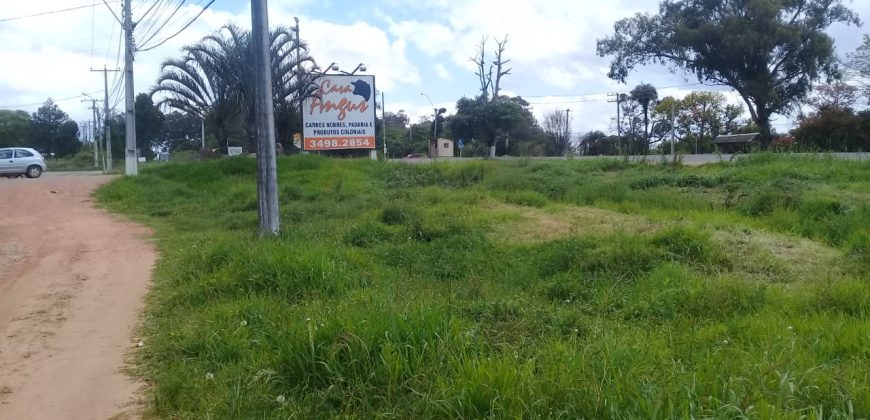 terreno comercial 700m², escriturado, confira