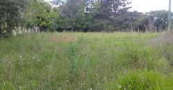 terreno comercial 700m², escriturado, confira