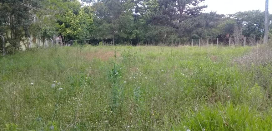 terreno comercial 700m², escriturado, confira