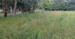 terreno comercial 700m², escriturado, confira