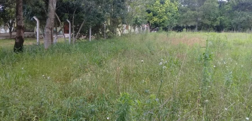 terreno comercial 700m², escriturado, confira