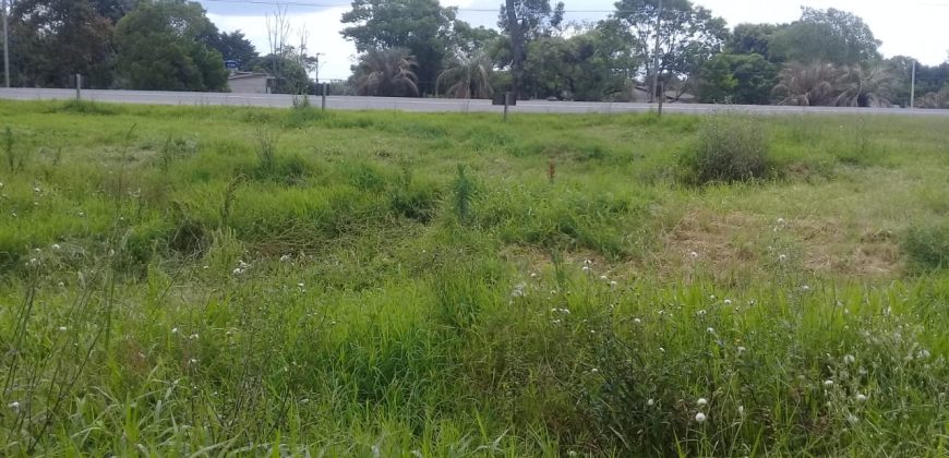 terreno comercial 700m², escriturado, confira