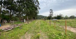 chacara de 3200 m2  estrada Rancho alegre Águas claras  Viamão