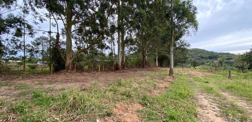 chacara de 3200 m2  estrada Rancho alegre Águas claras  Viamão