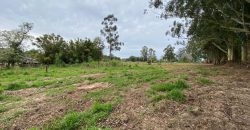 chacara de 3200 m2  estrada Rancho alegre Águas claras  Viamão